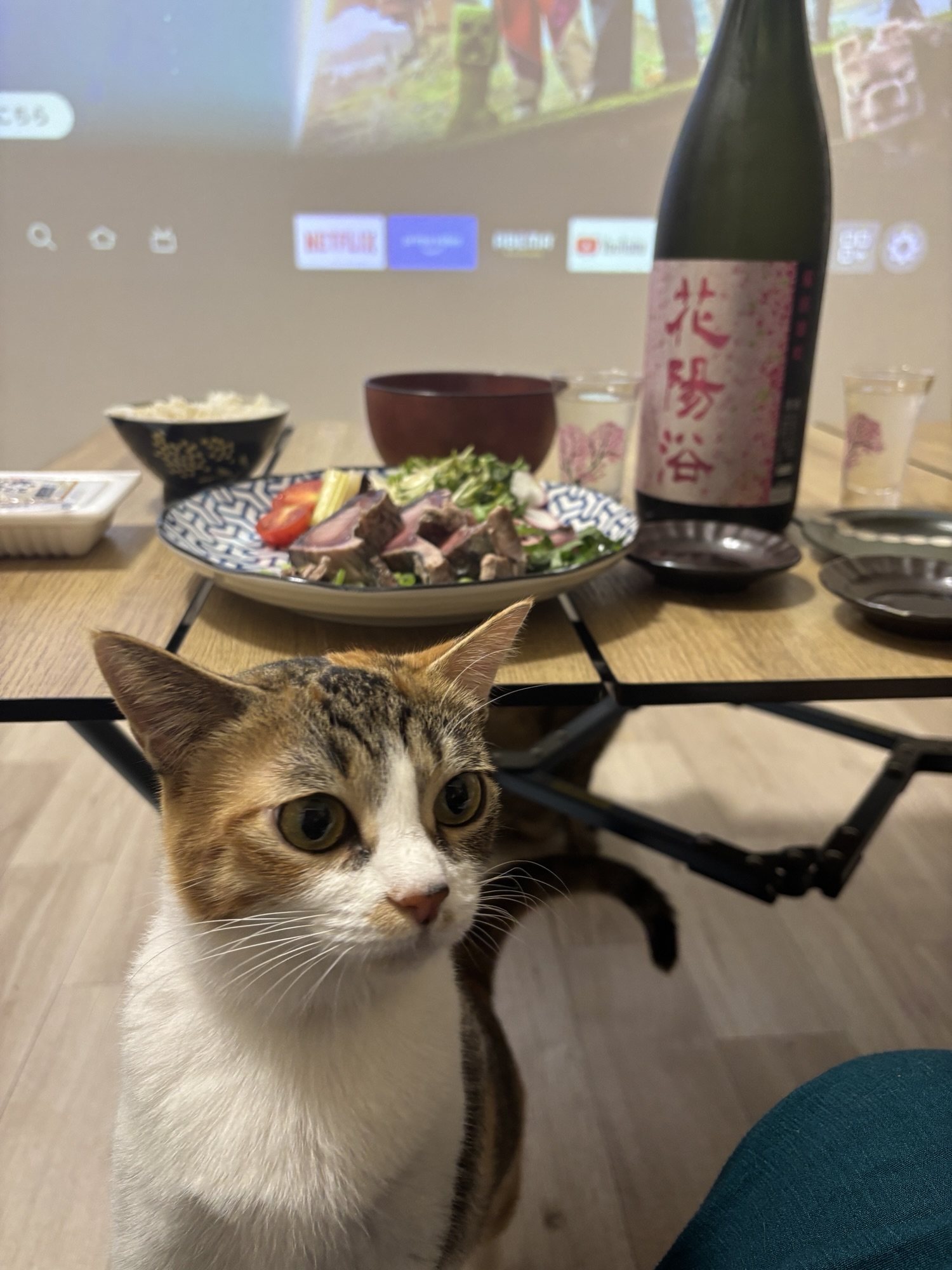 2025/9/1-9/15のお小遣い日記