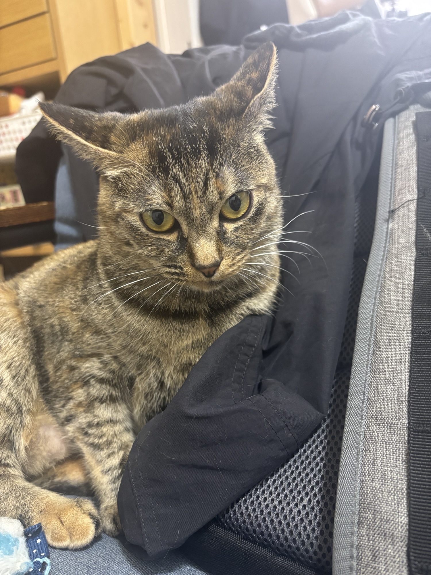 10月24日のお小遣い日記