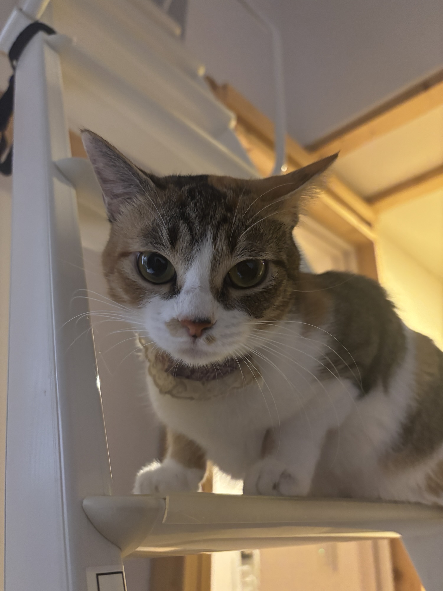 10月30日のお小遣い日記