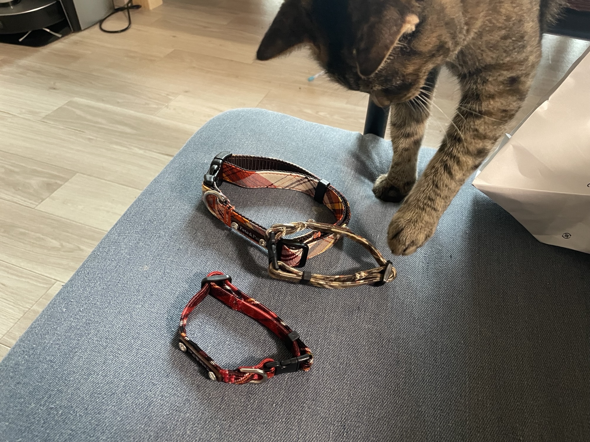 10月28日のお小遣い日記