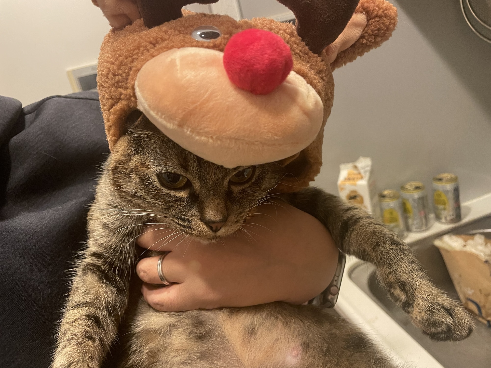 10月31日のお小遣い日記