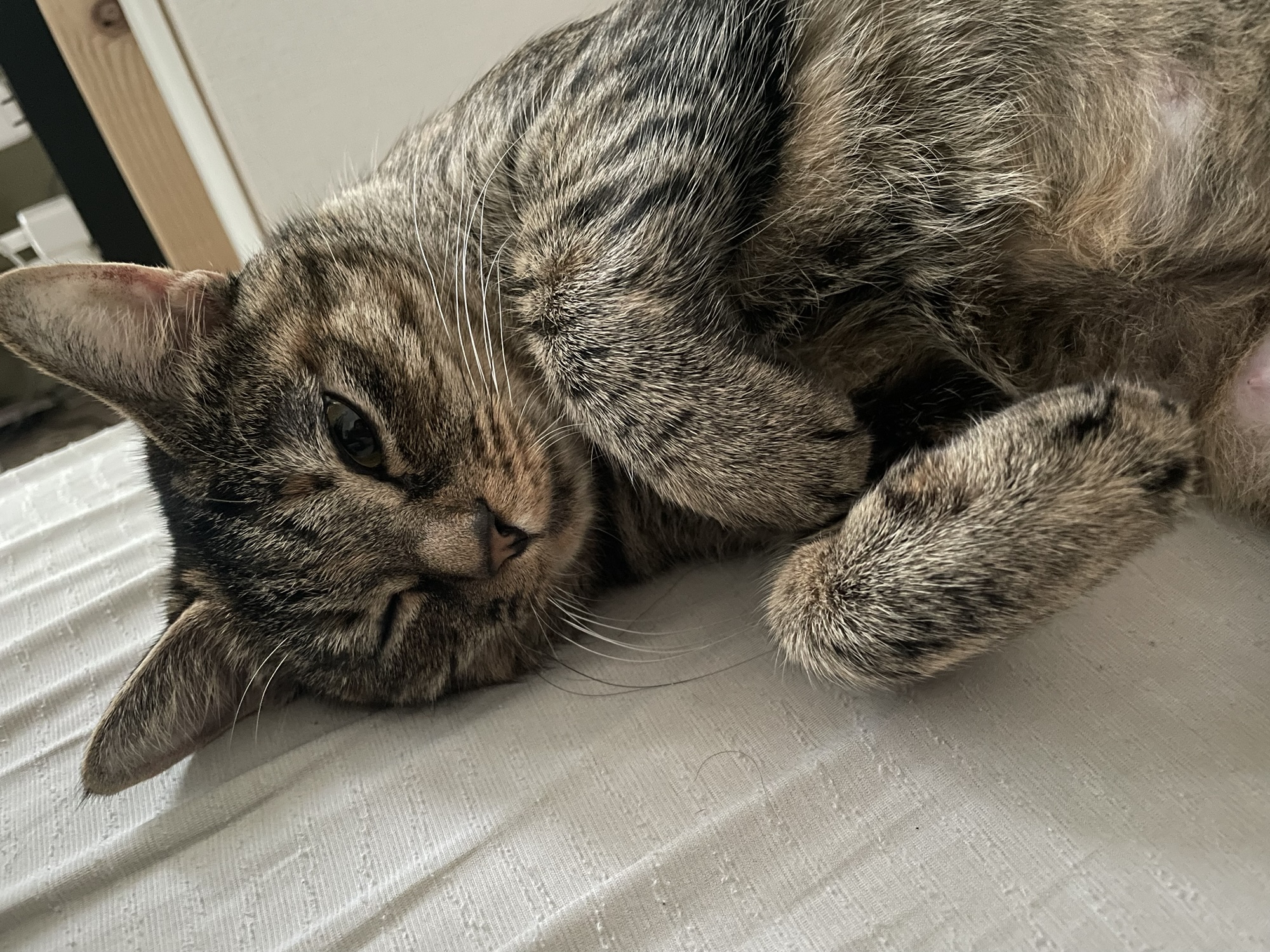 旬を楽しむ暮らし