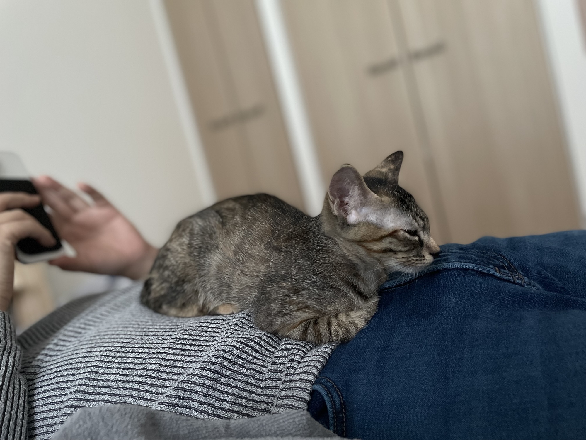 よく聴くポッドキャスト📻