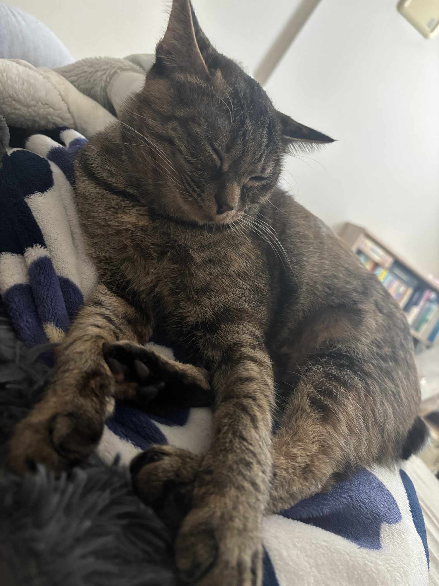 営業研修合宿で感じたこと