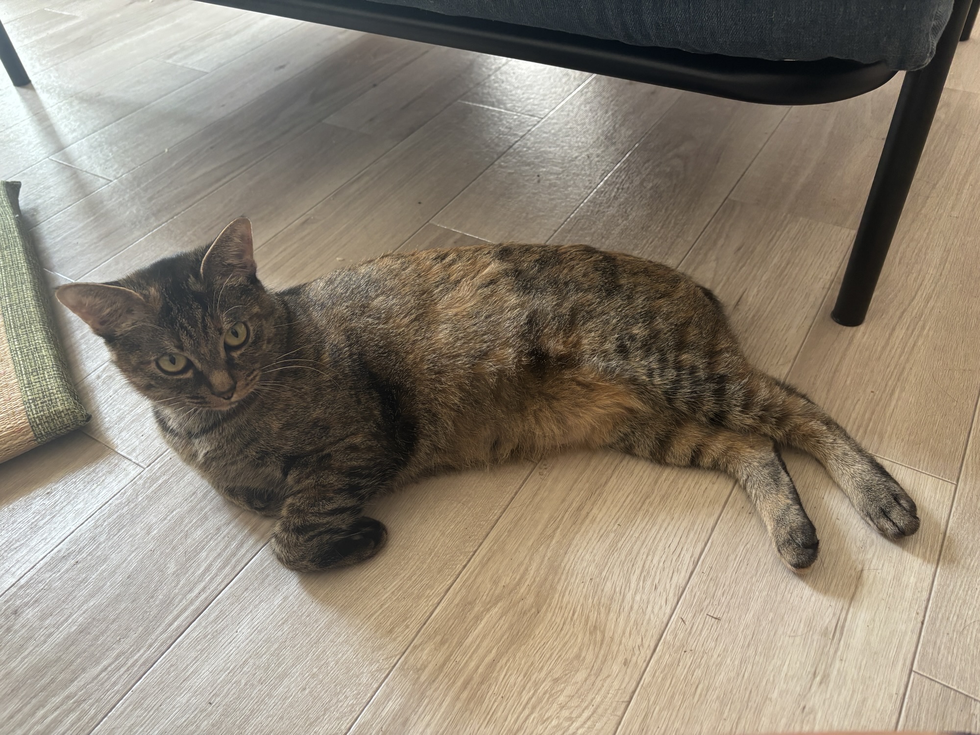 11月14日のお小遣い日記