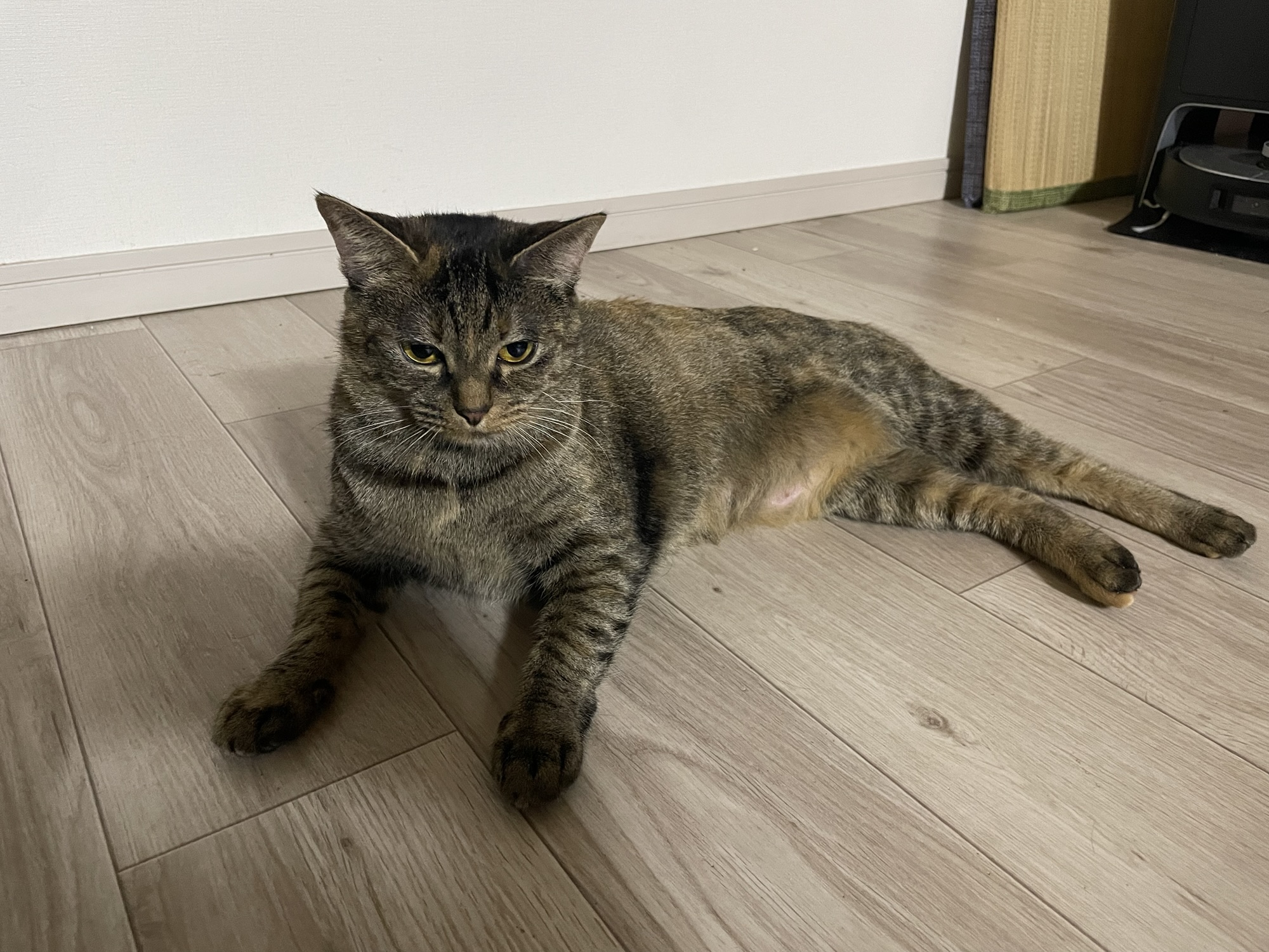 切り干し大根にハマった話