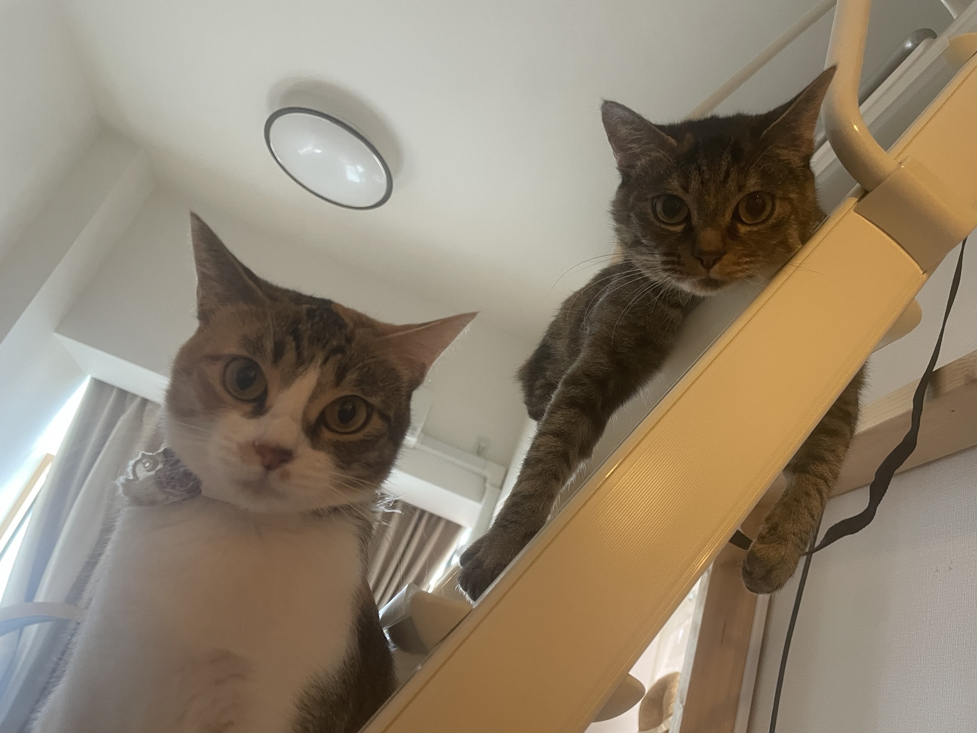 11月11日のお小遣い日記