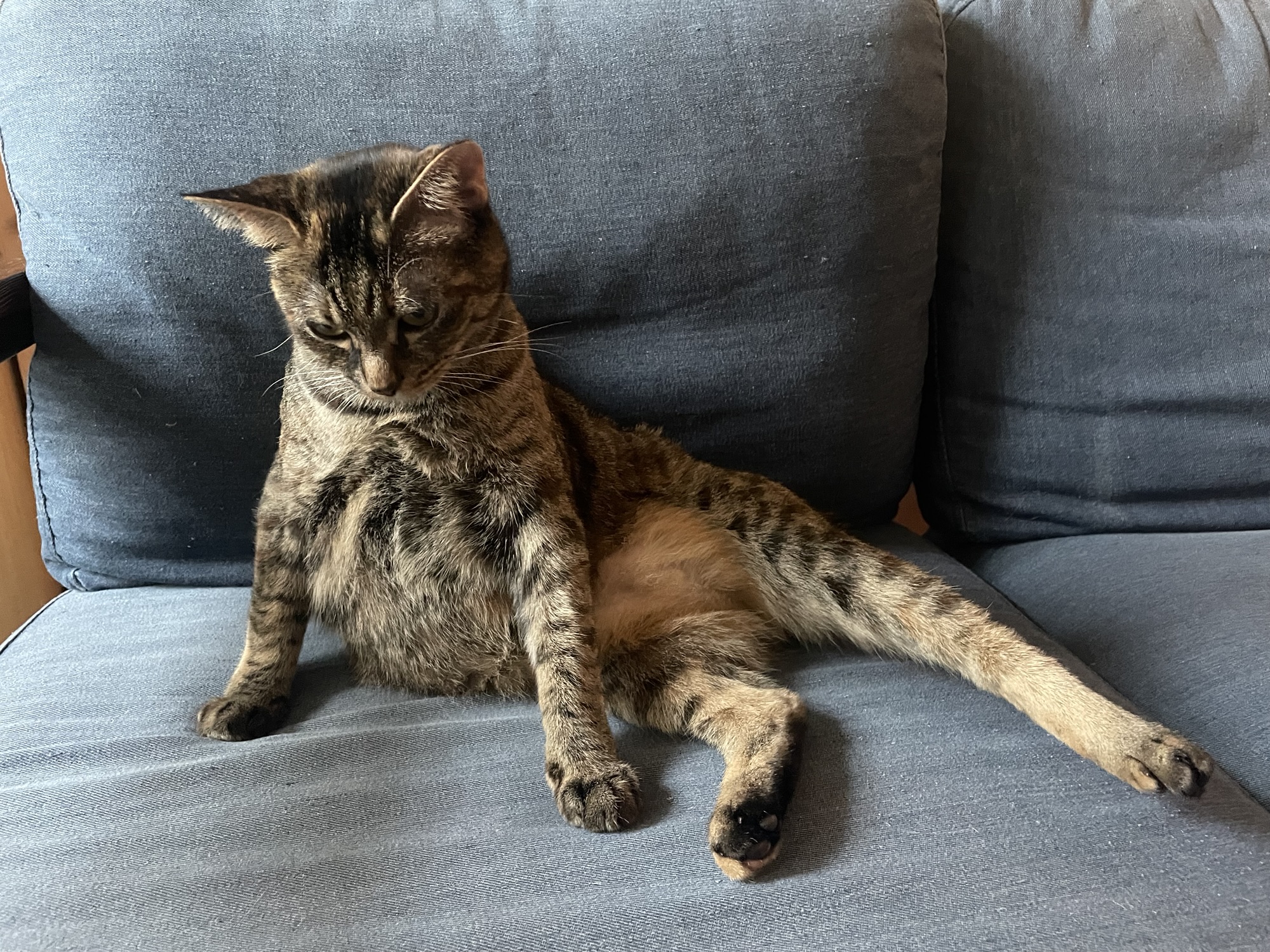 ダイエット6週目の振り返り