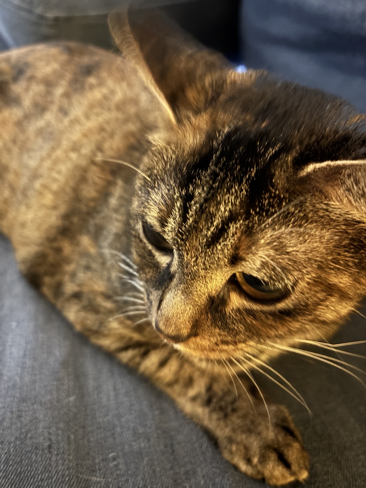 風邪をひきました