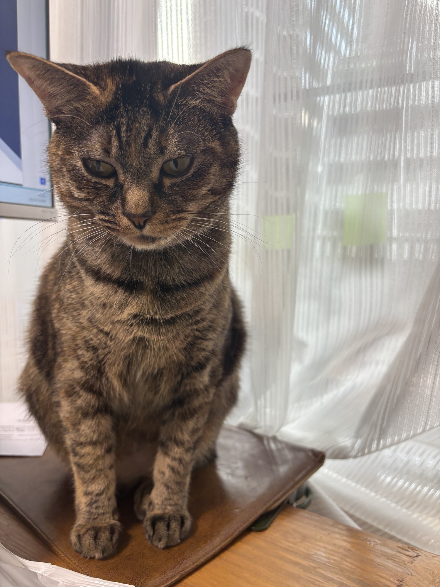 12月10日のお小遣い日記