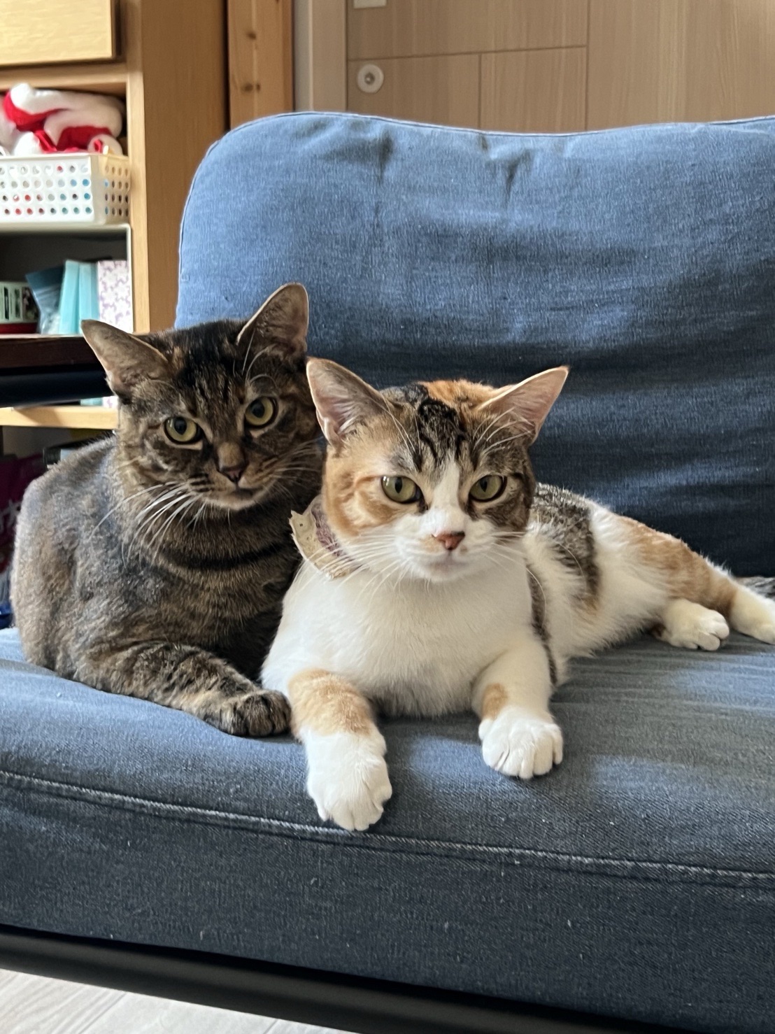 年末は帰省してのんびり