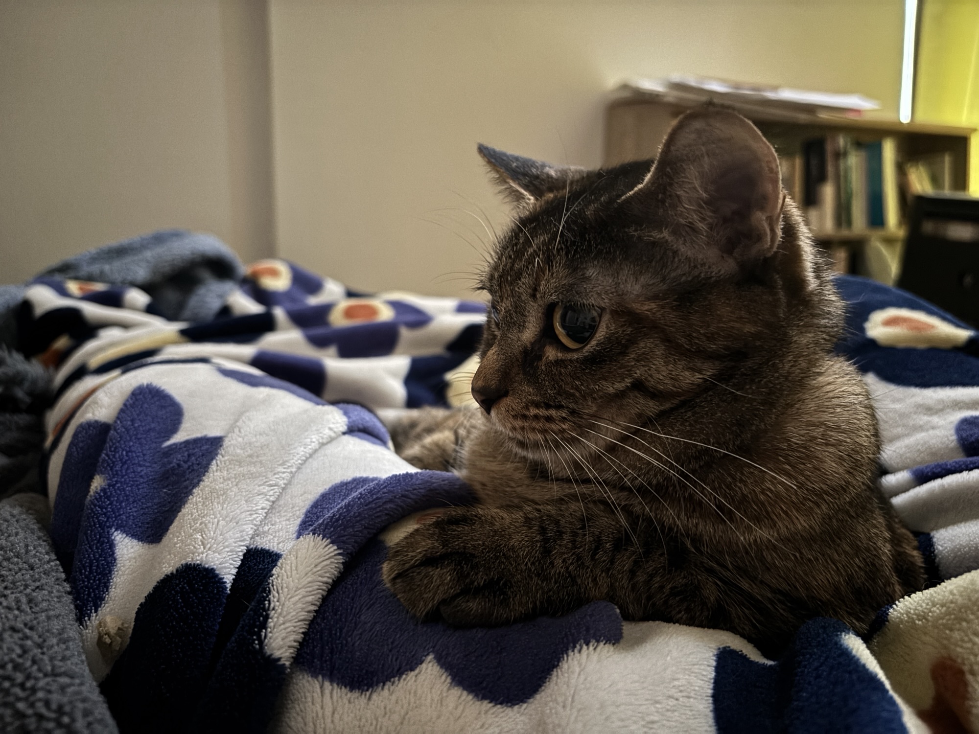 転職した元上司が「嫌な人」に見えた日