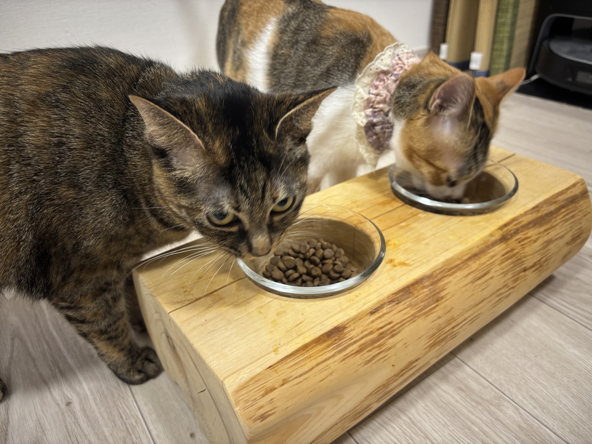 仕事との向き合い方