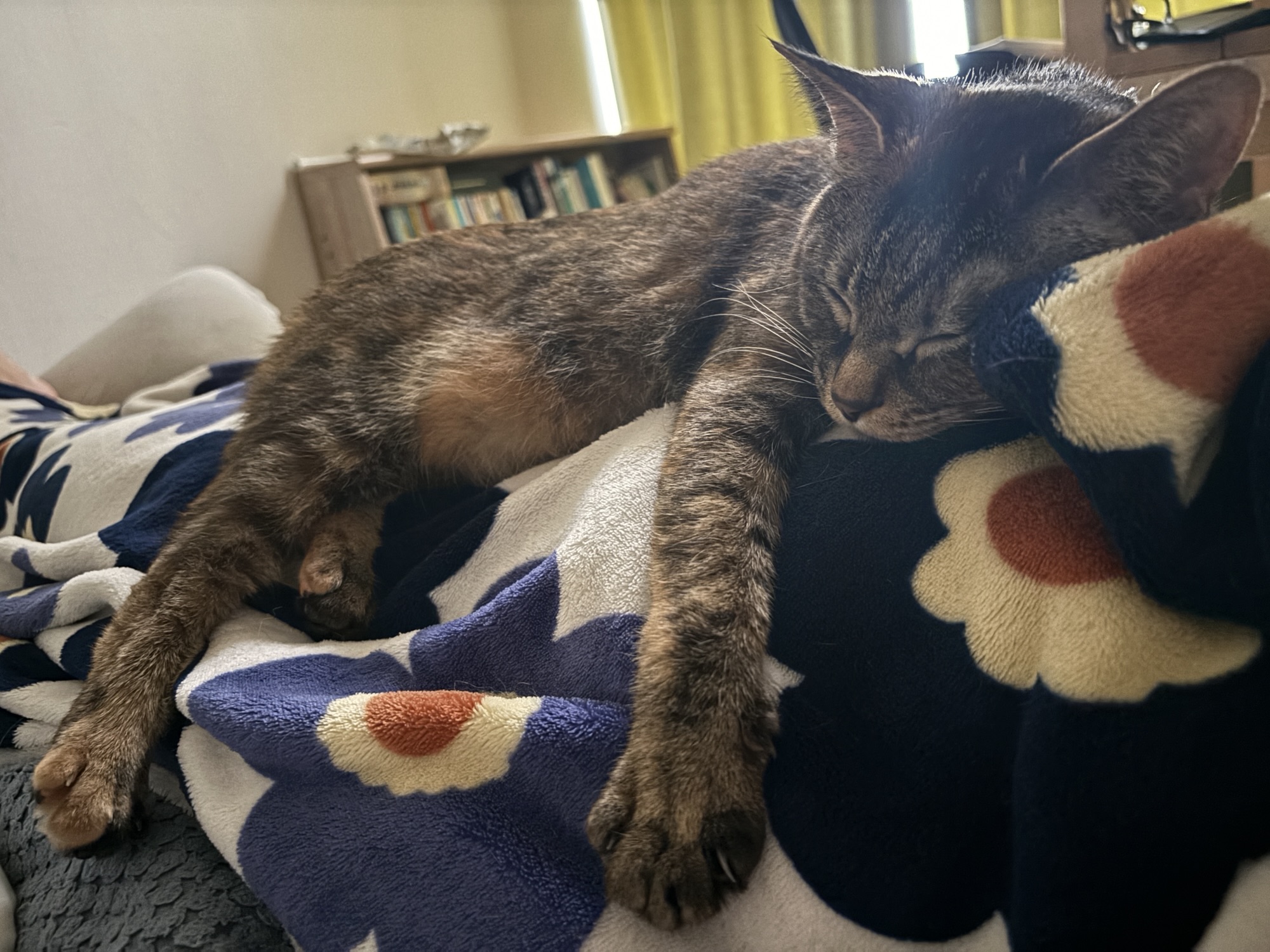 日本っていいな